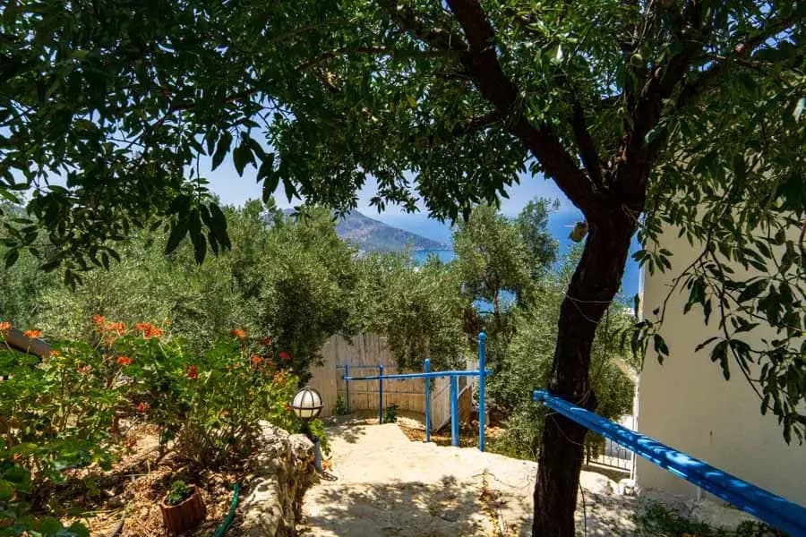 Villa Patika 3 15