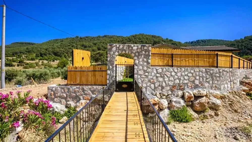 Villa Cherry 36