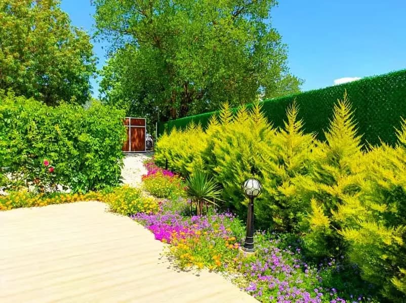Villa Limon Kayaköy 19