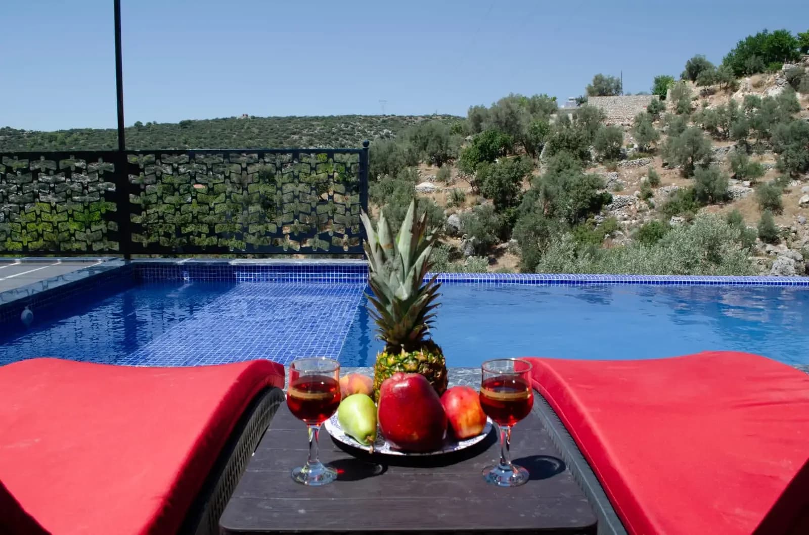 Villa Cenk 16