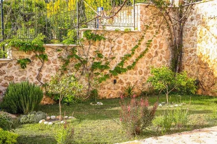 Villa Nautilus 25