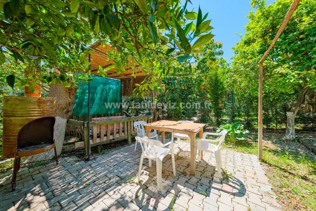 Bungalov Avokado 4 4