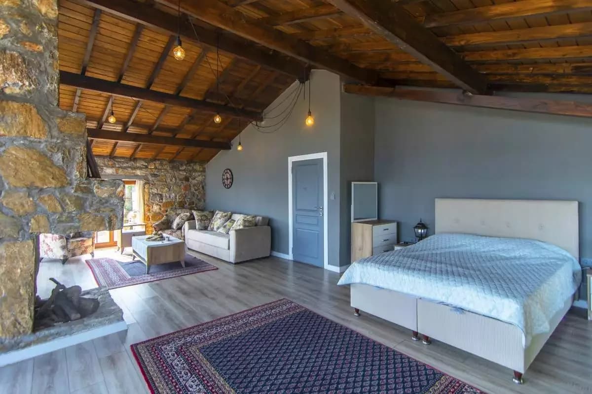 Villa Olive 15