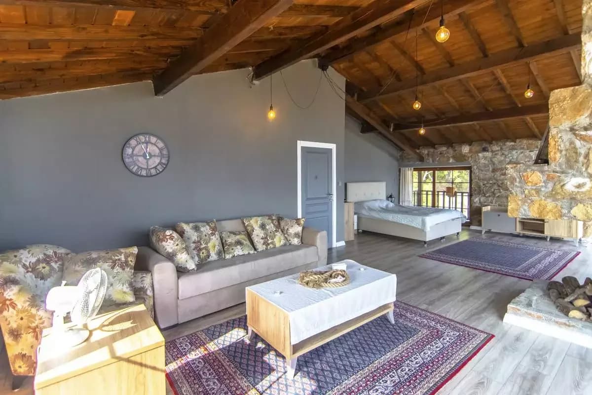Villa Olive 18