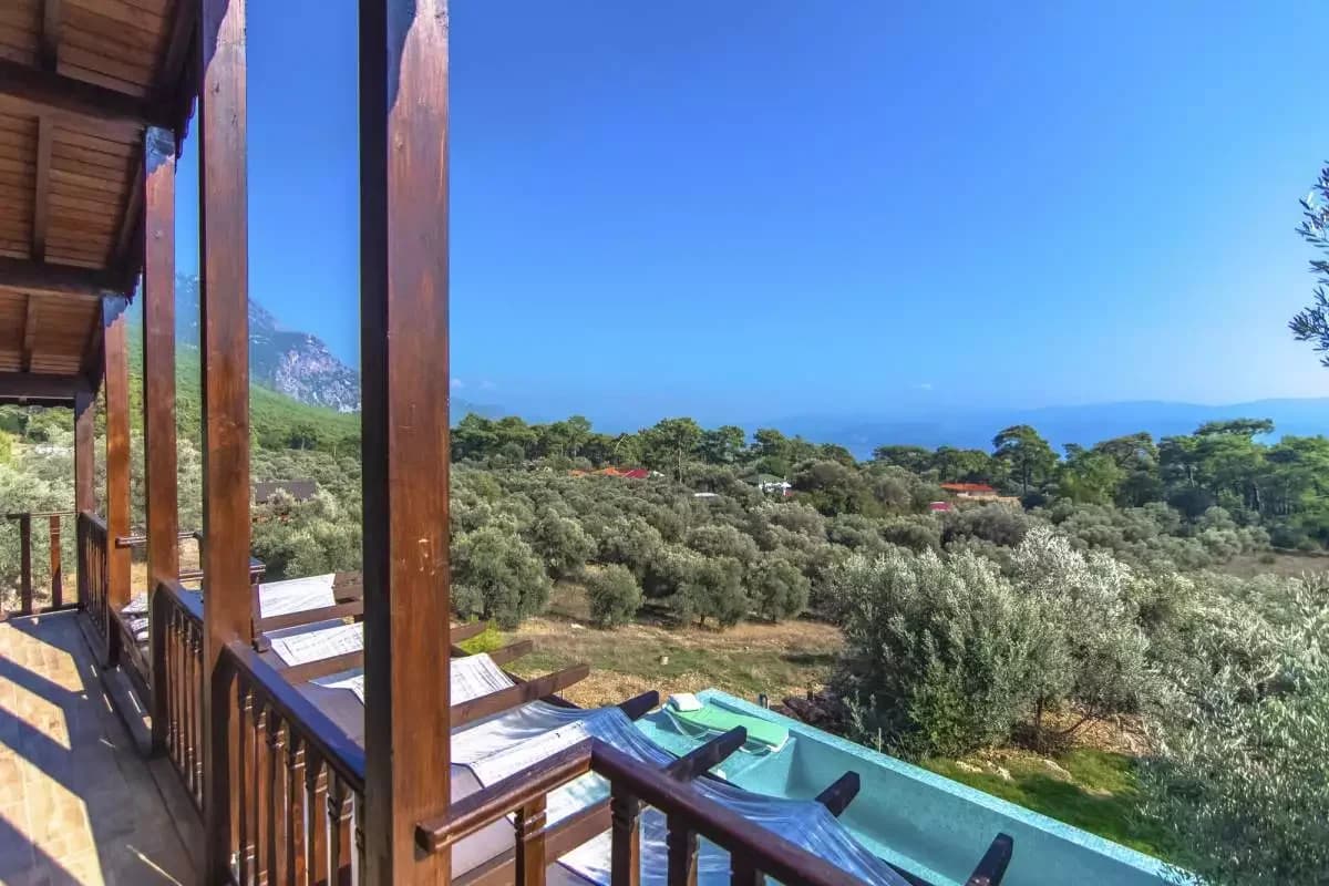 Villa Olive 19