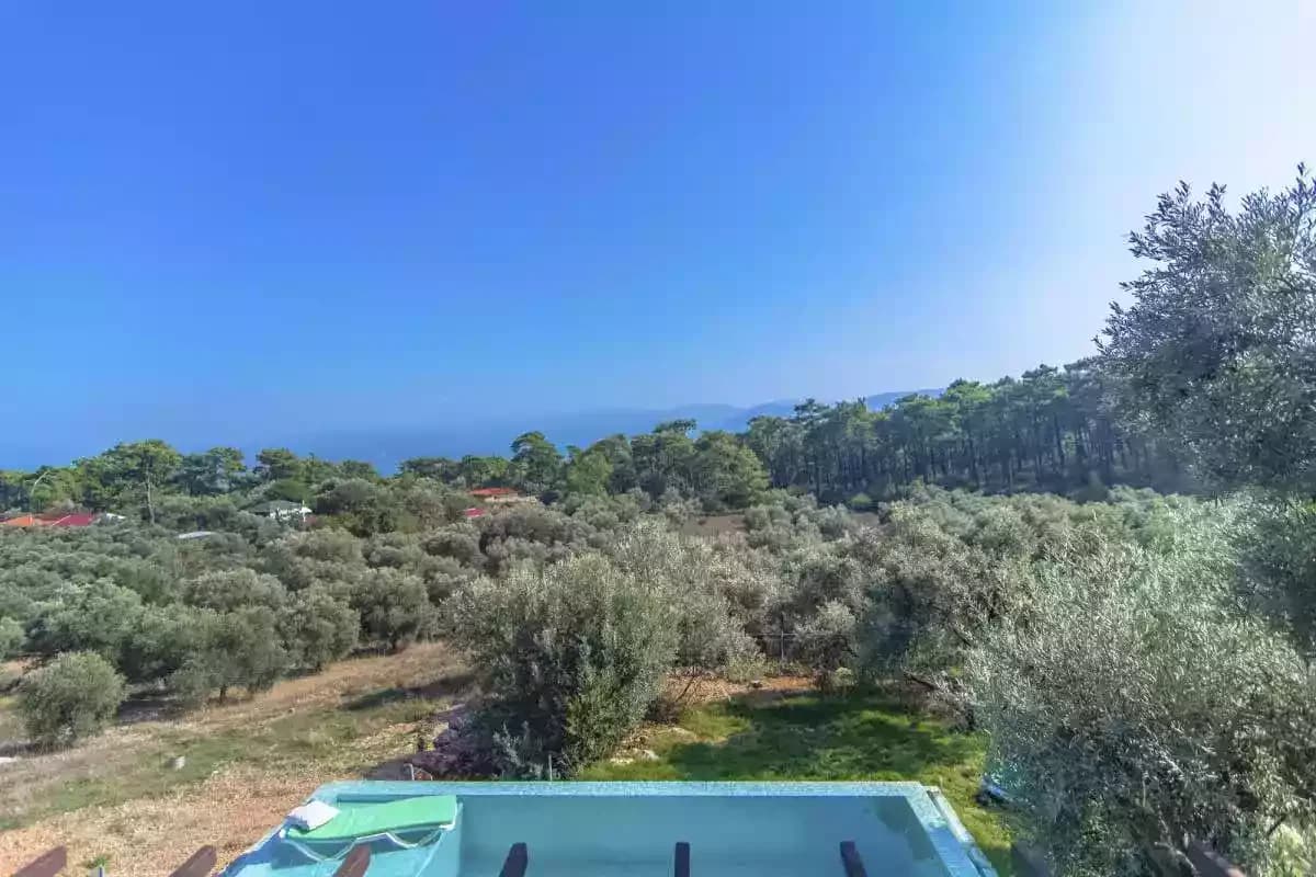 Villa Olive 5