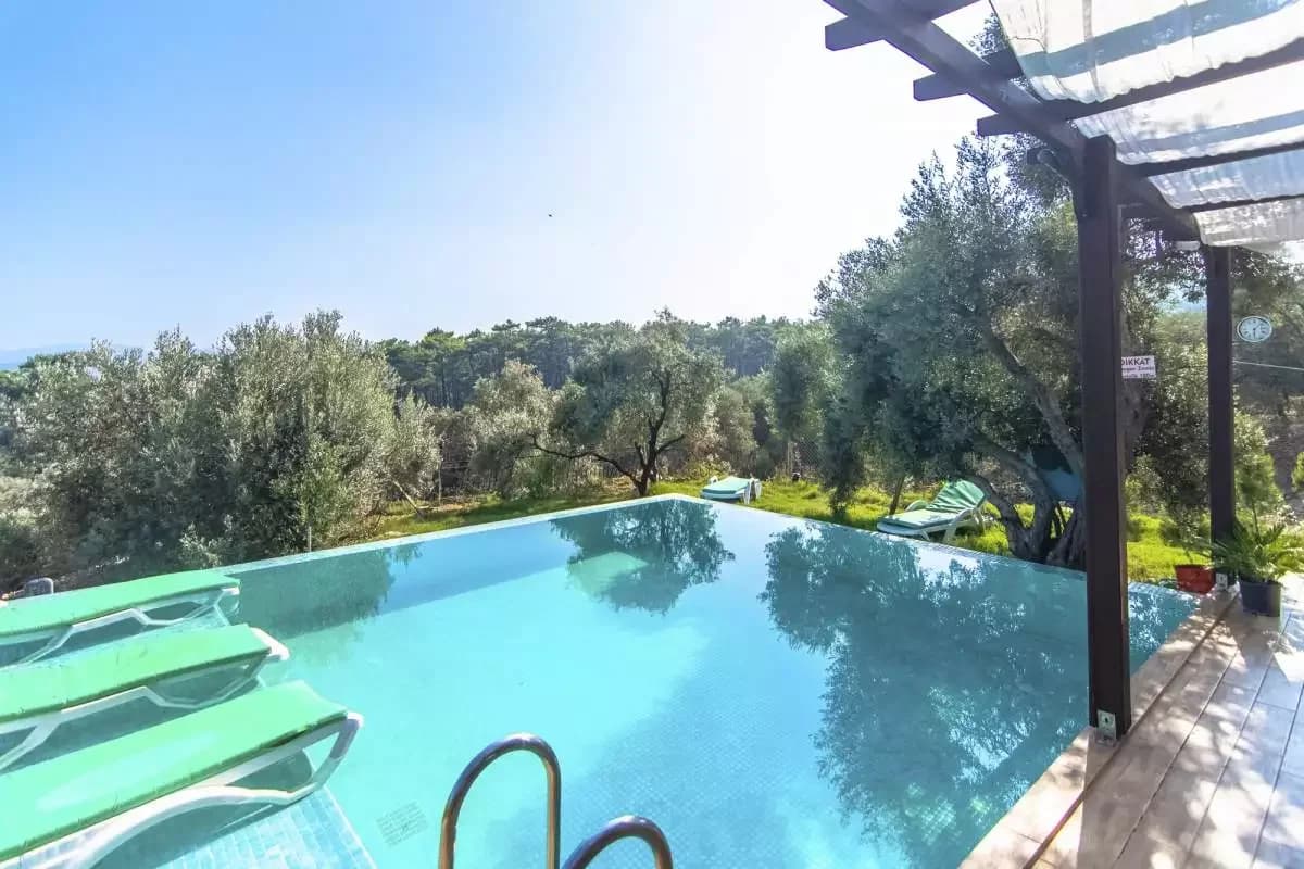 Villa Olive 7