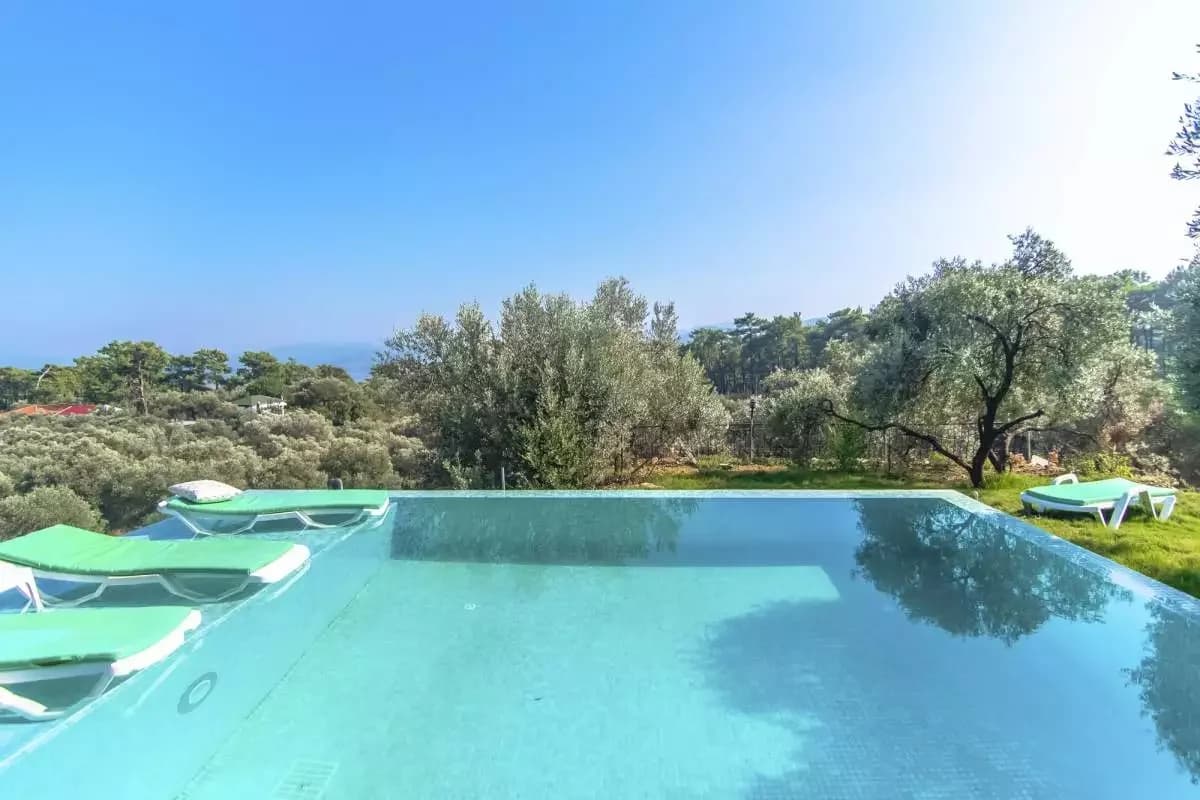 Villa Olive 8