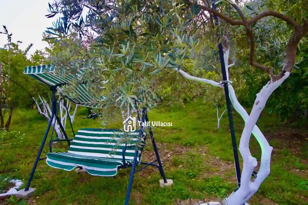 Bungalov Olive