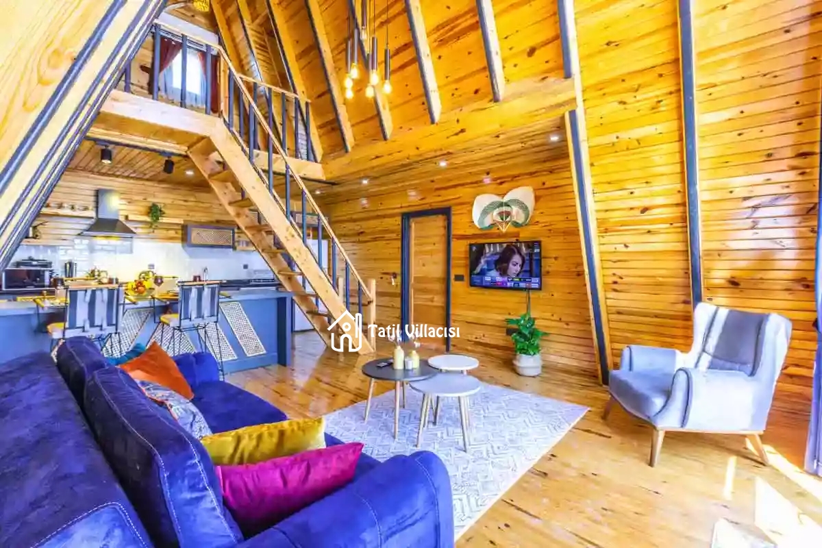 Bungalov Nargisus 1