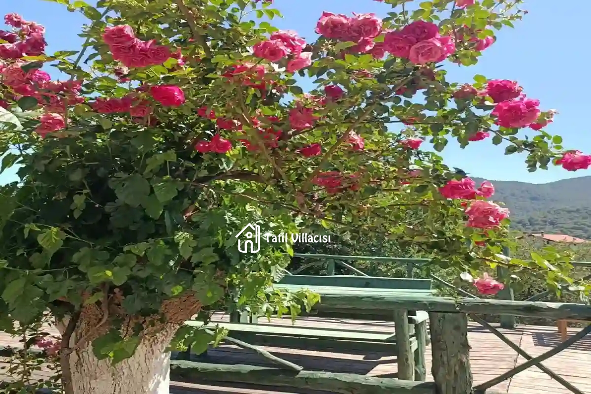 Dalyan Villa Holiday