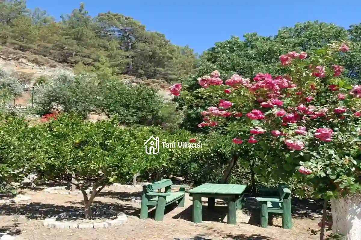 Dalyan Villa Holiday