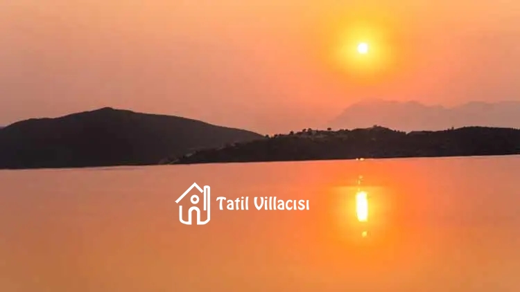 Villa Alfa Delta