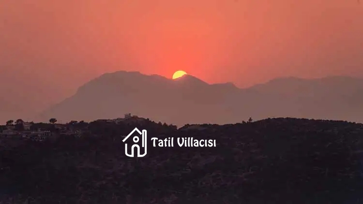 Villa Alfa Delta