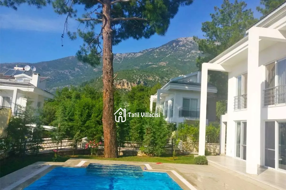 Villa Angel Duo