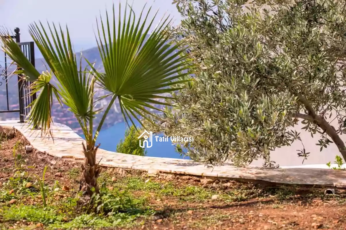 Villa Antik