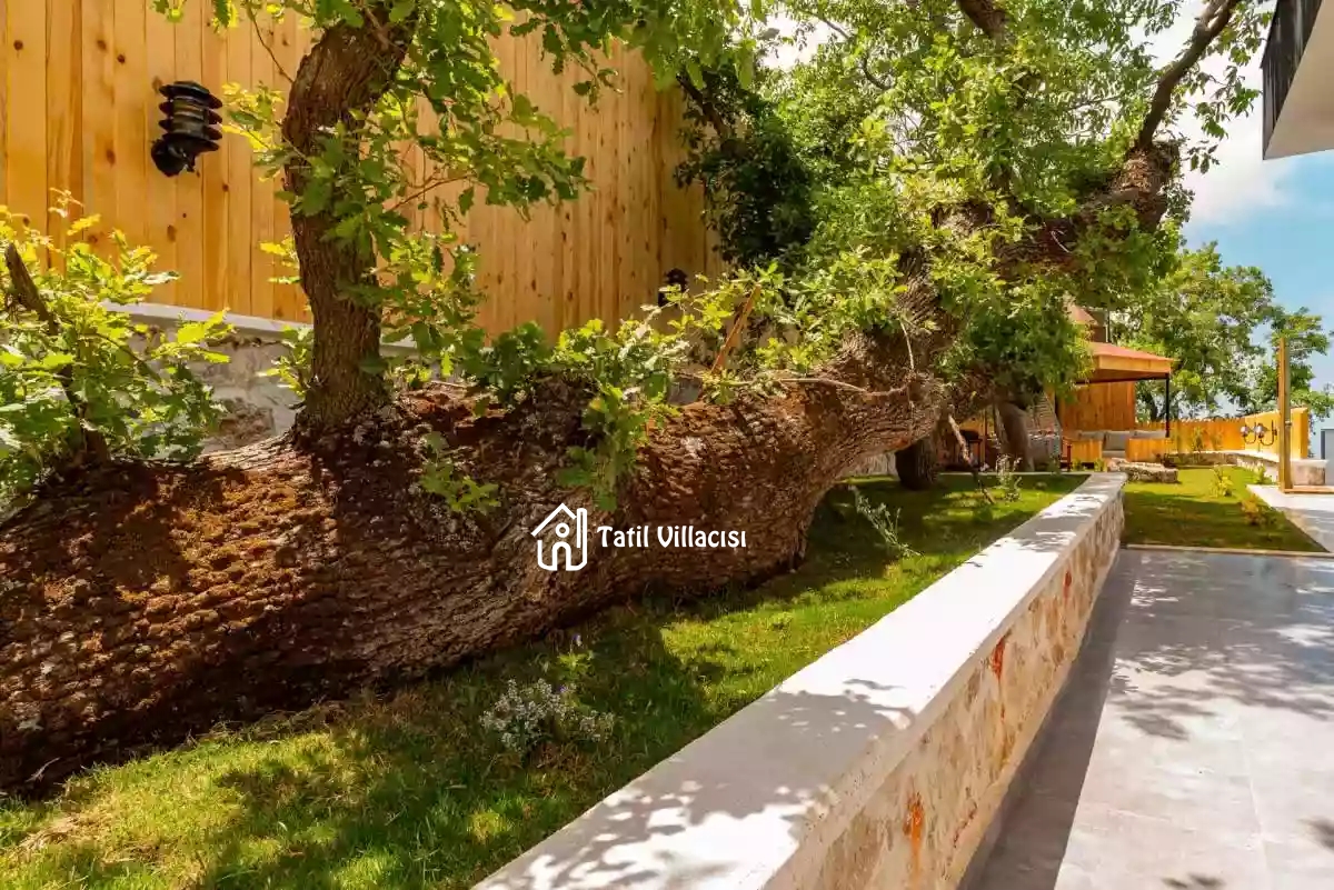 Villa Aqua