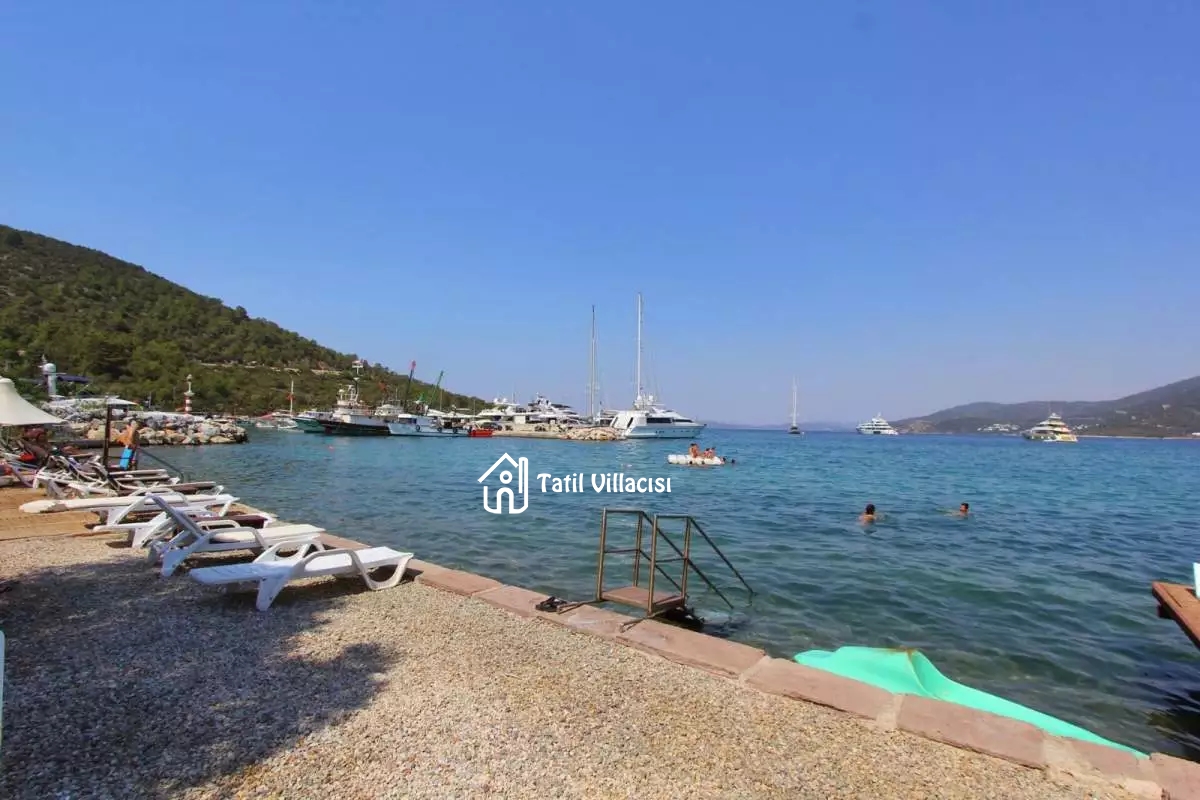 Villa Arte