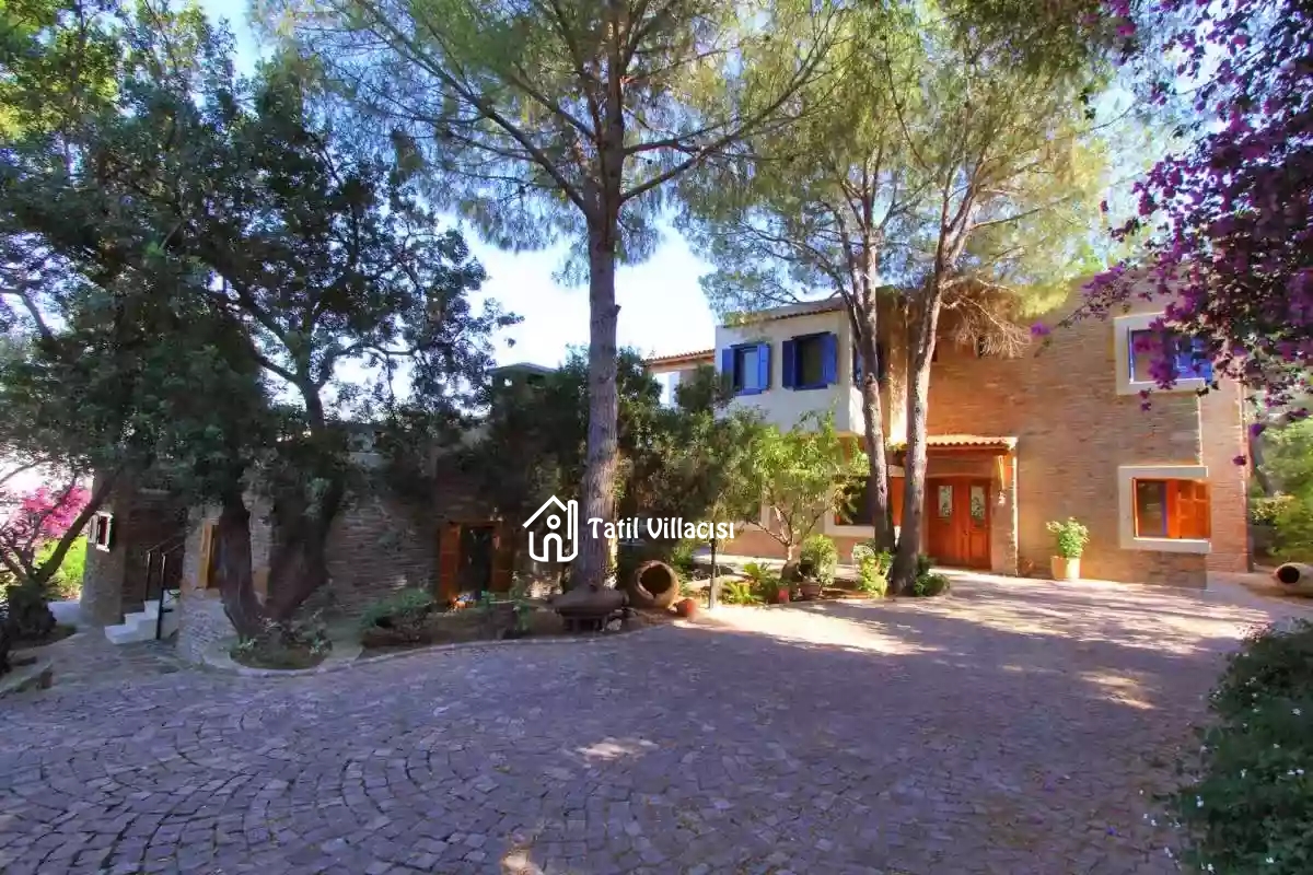 Villa Arte