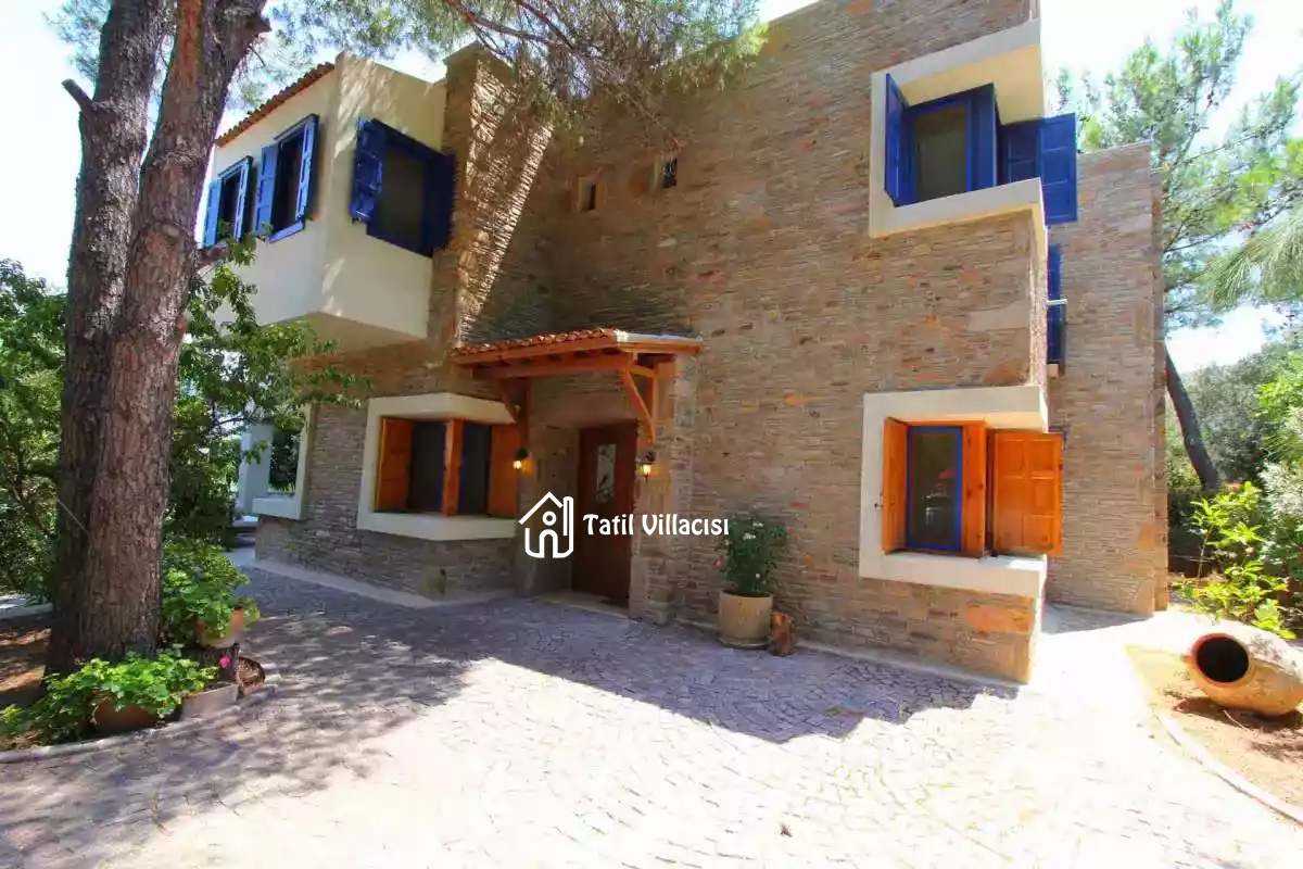 Villa Arte