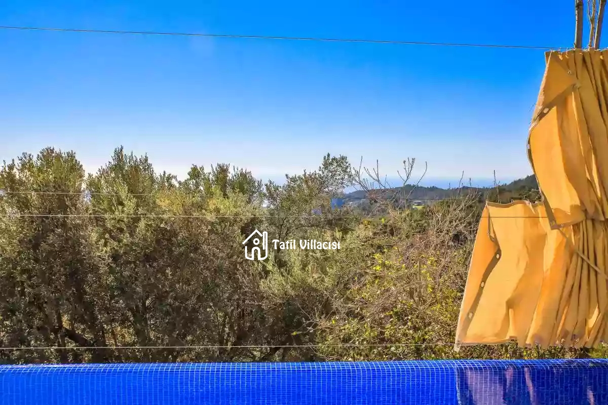 Villa Çınar
