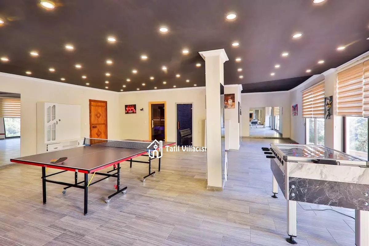 Villa Çınar