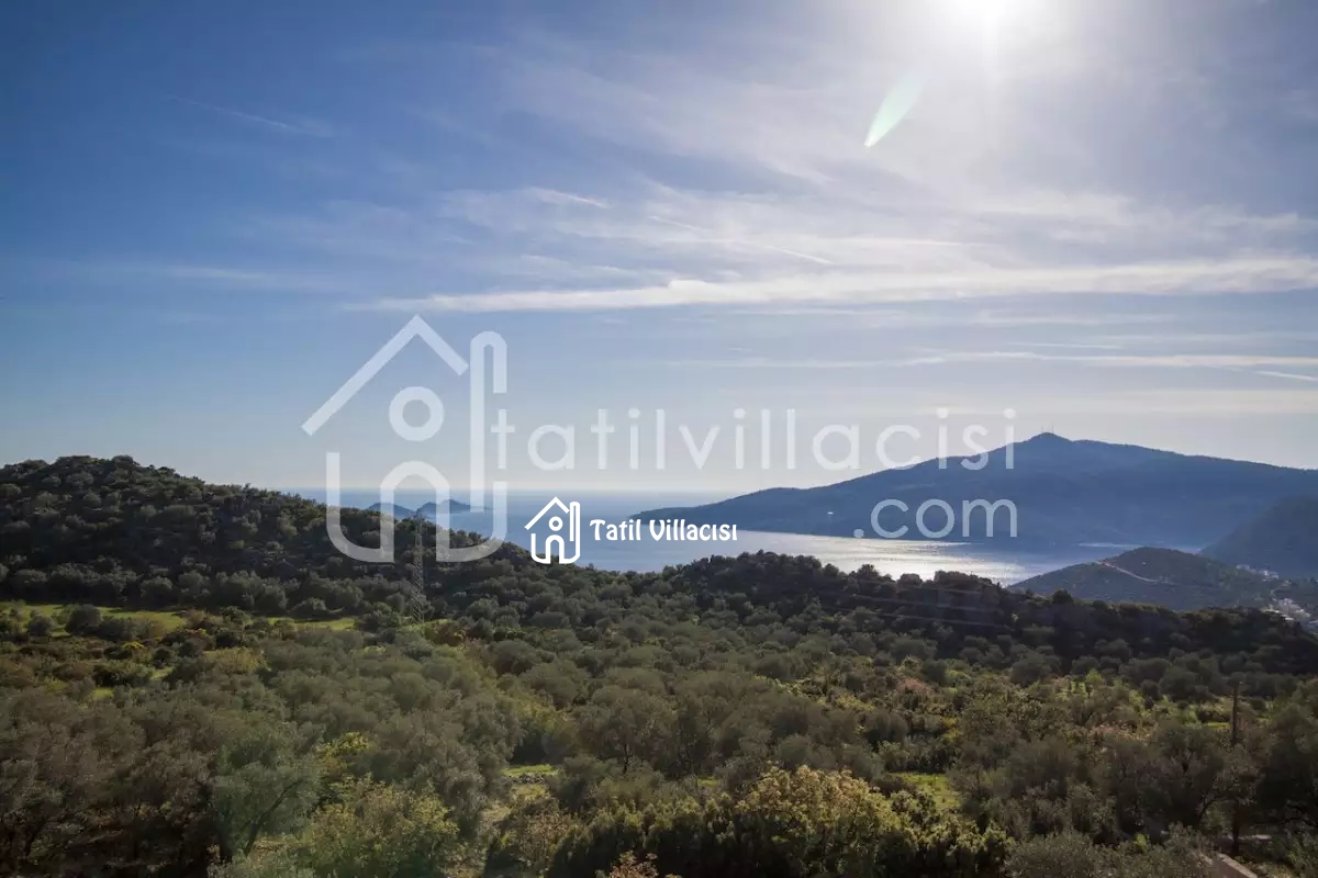 Villa Dilan