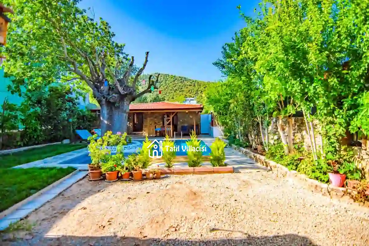 Villa Dream