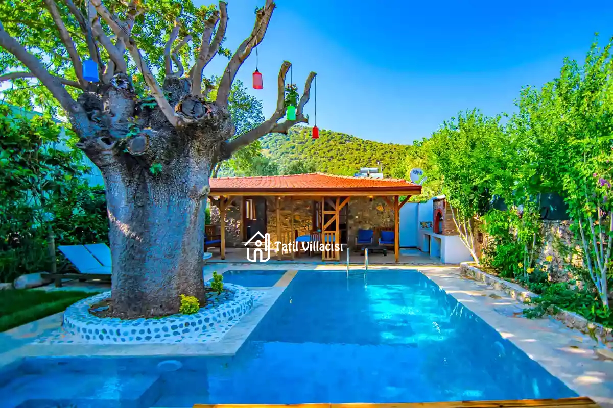 Villa Dream