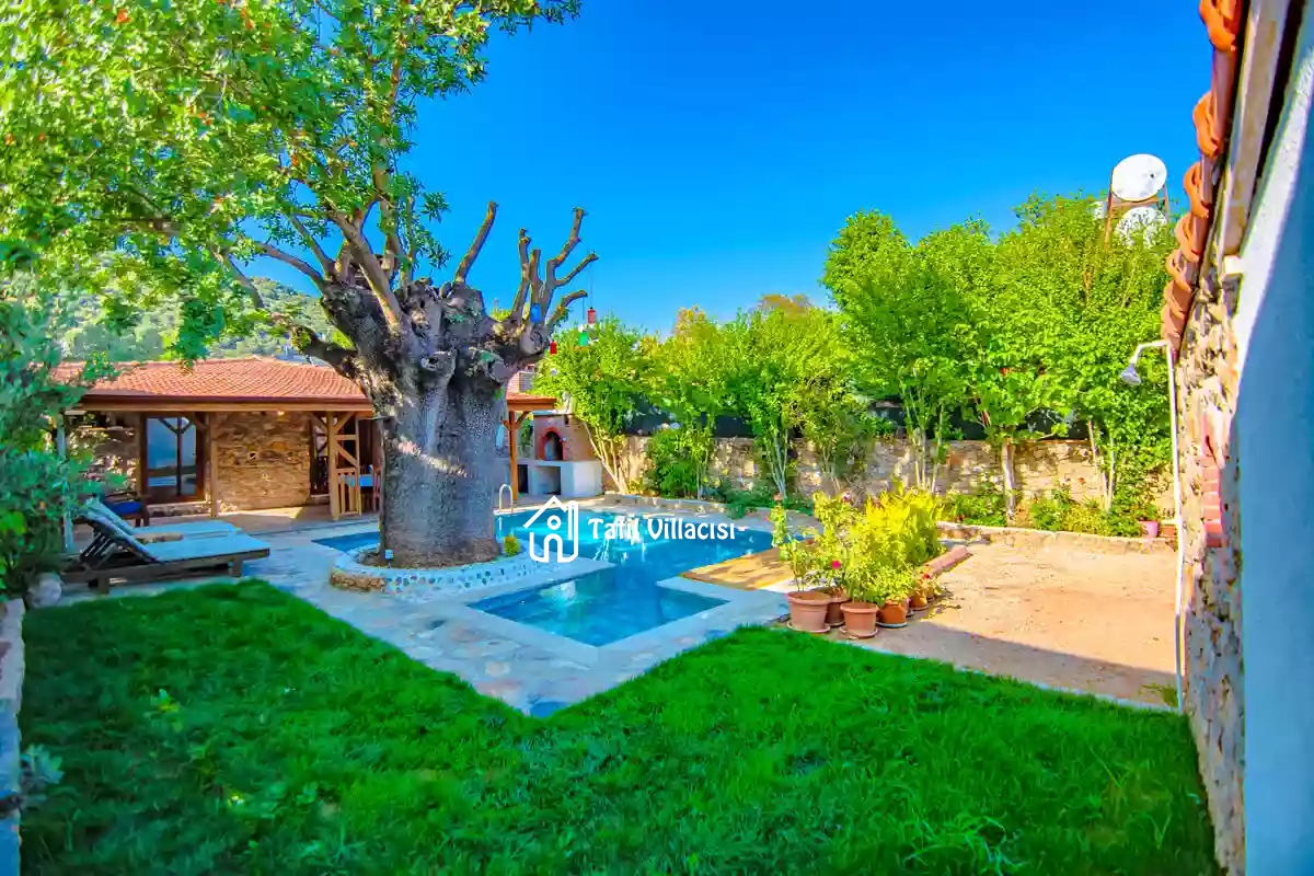 Villa Dream