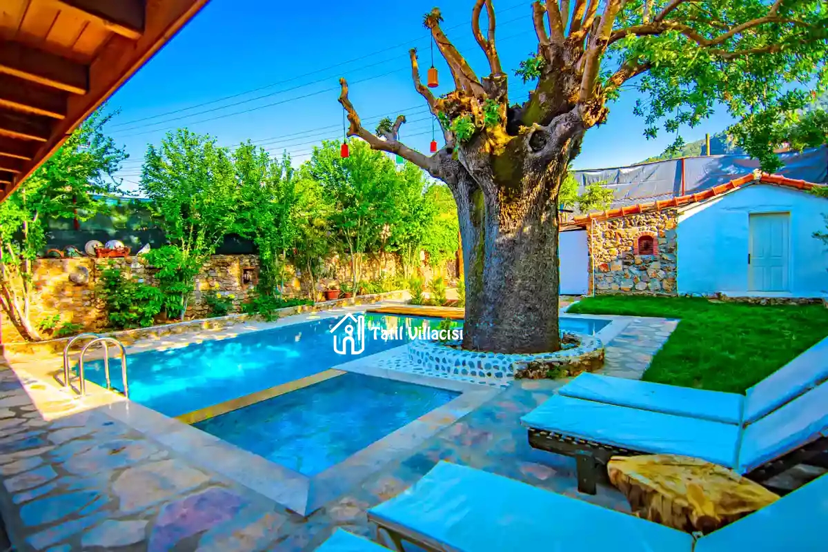 Villa Dream