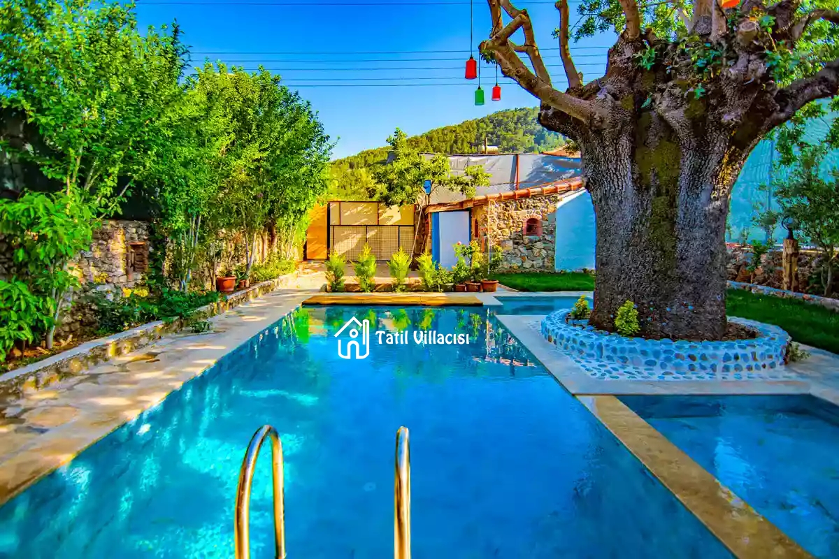 Villa Dream