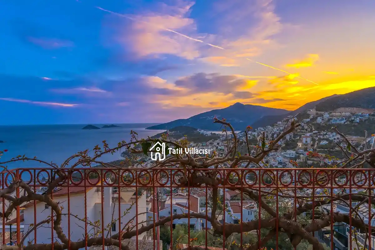 Villa Dreamland