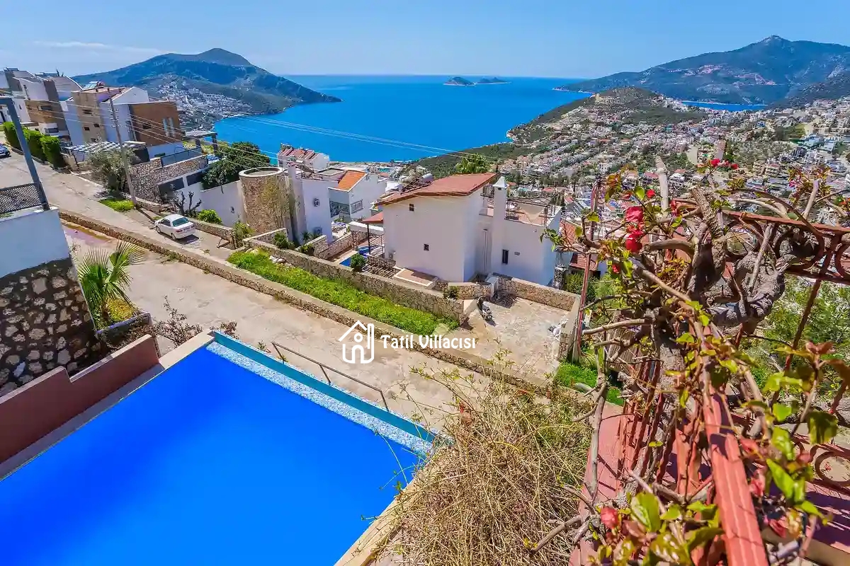 Villa Dreamland