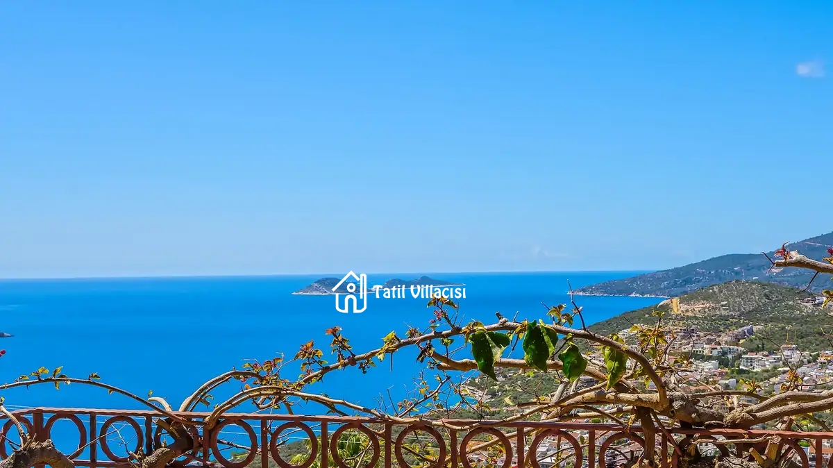 Villa Dreamland