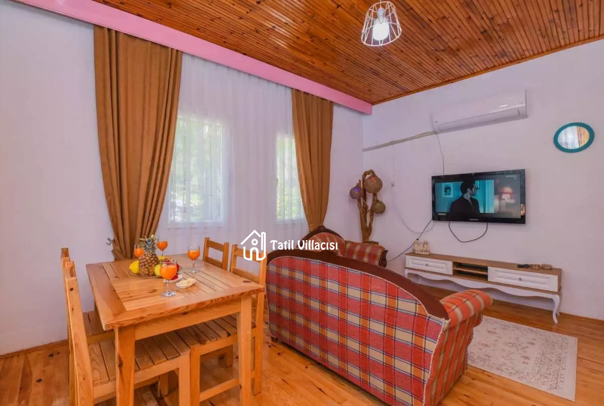 Villa Ekinezya