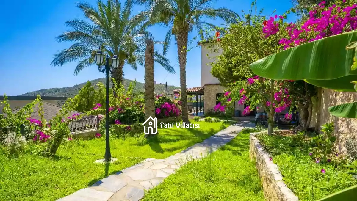 Villa Elfuze