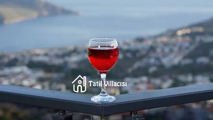 Villa Elit