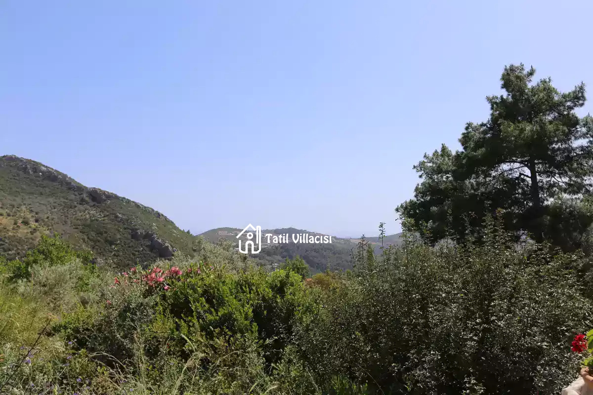Villa Esin İslamlar