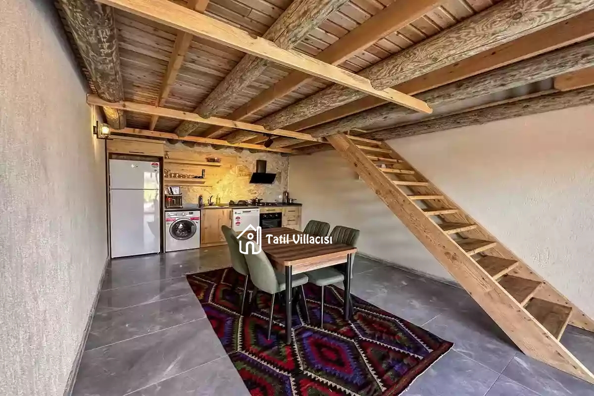 Villa İkizler 1
