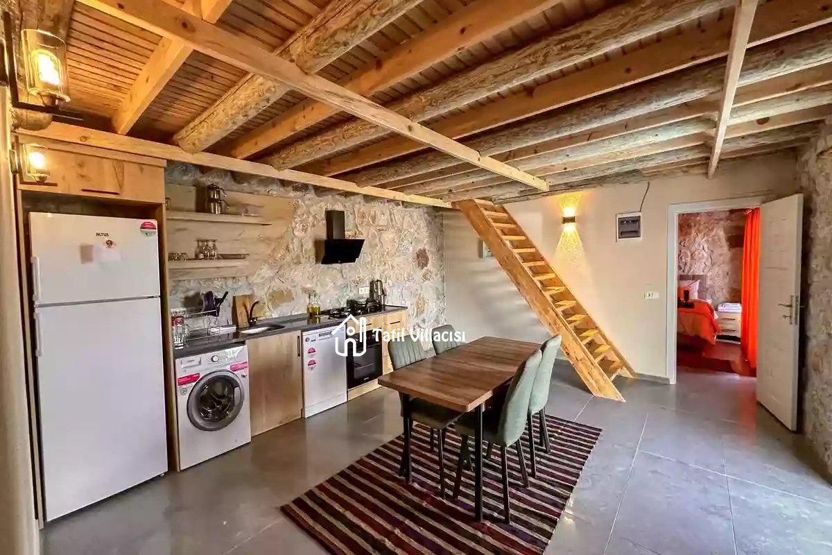 Villa İkizler 1