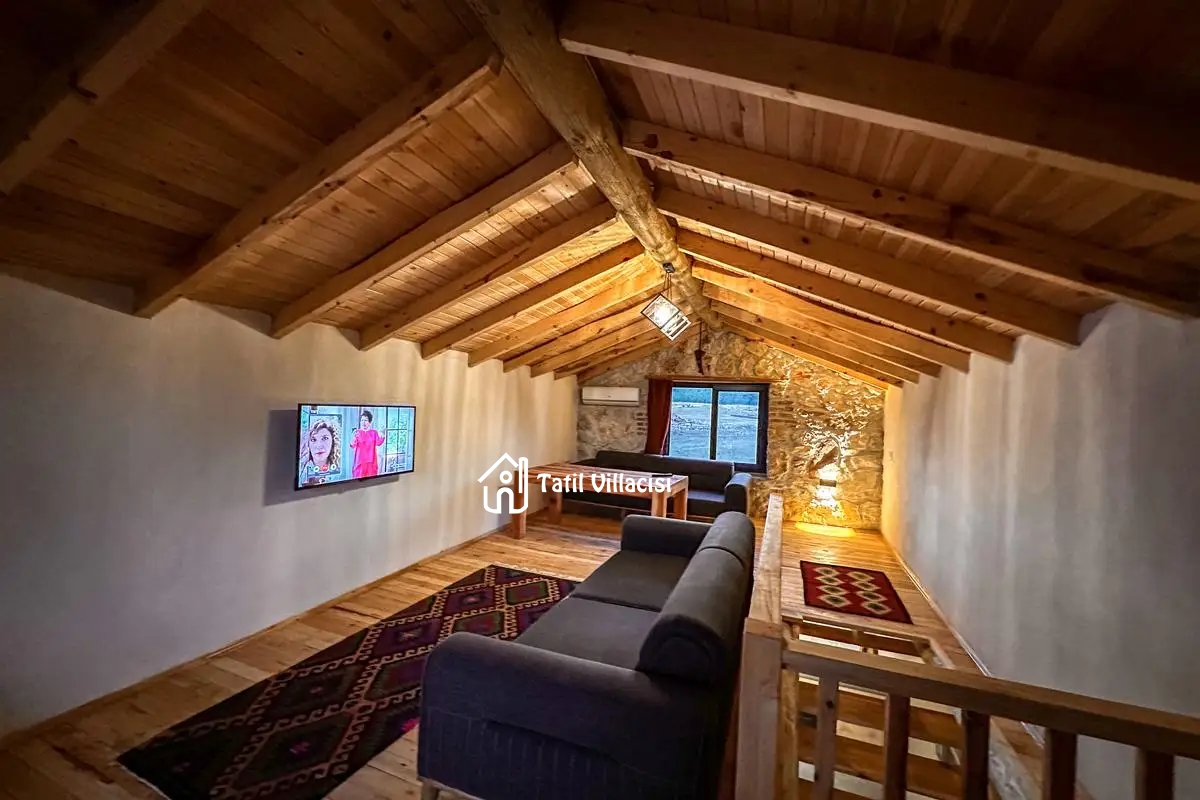 Villa İkizler 2