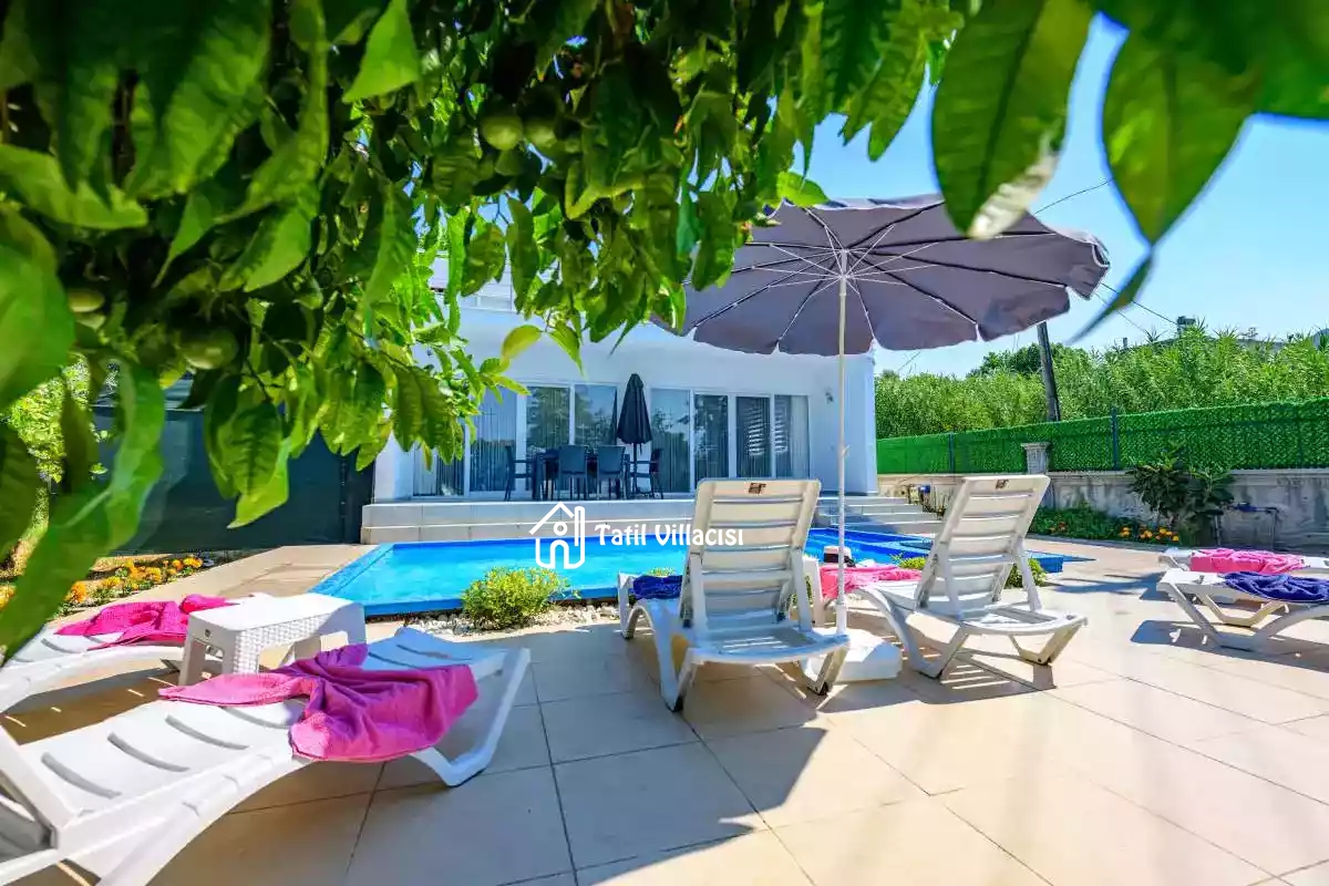 Villa Kavak Holland