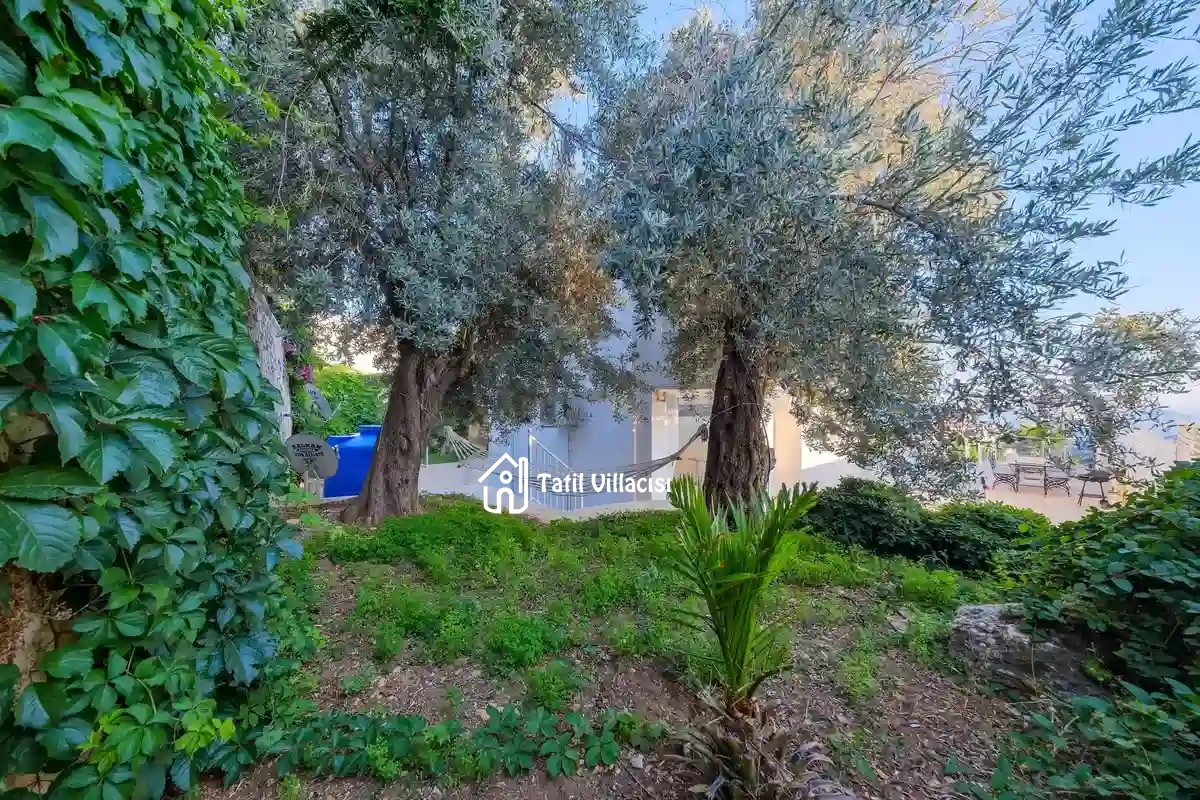 Villa Lumire 2