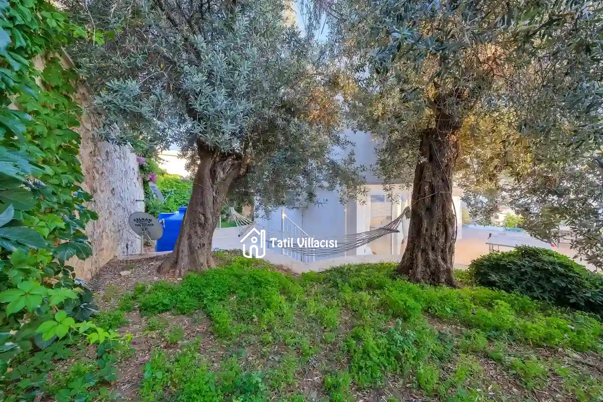 Villa Lumire 2