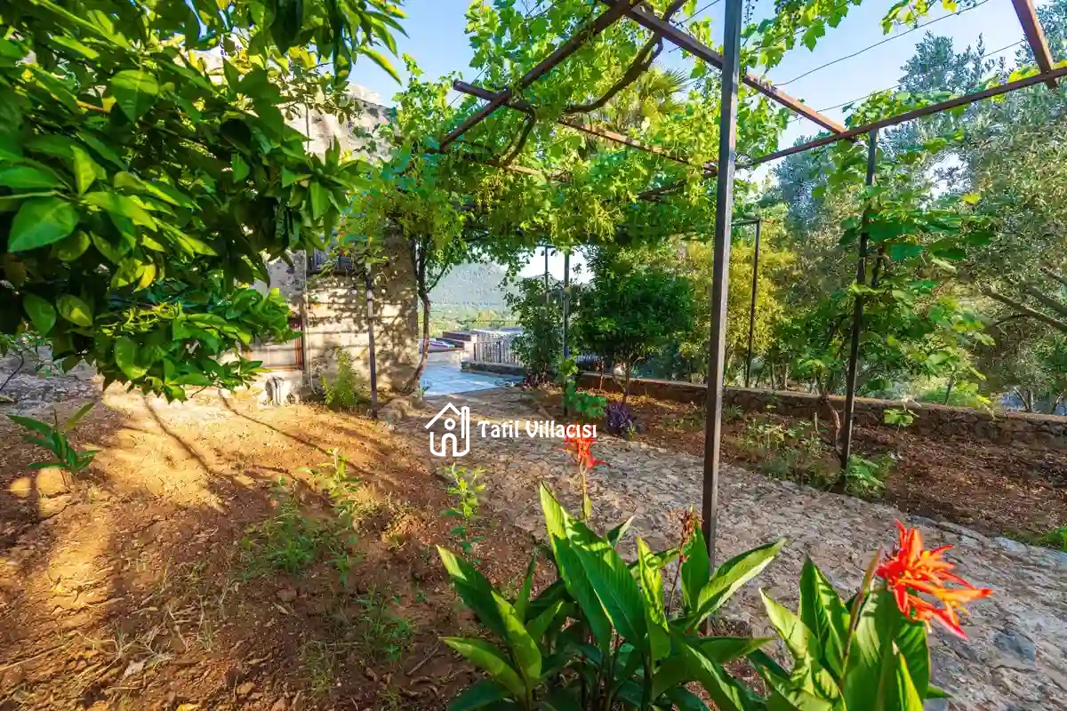 Villa Manzara Kayaköy