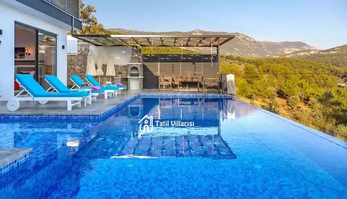 Villa Menekiş
