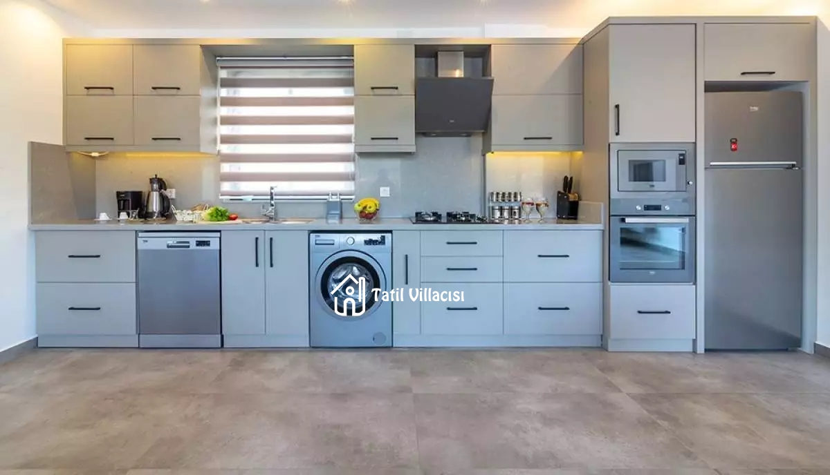 Villa Menekiş