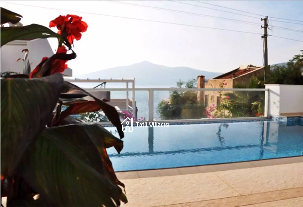 Villa Muz