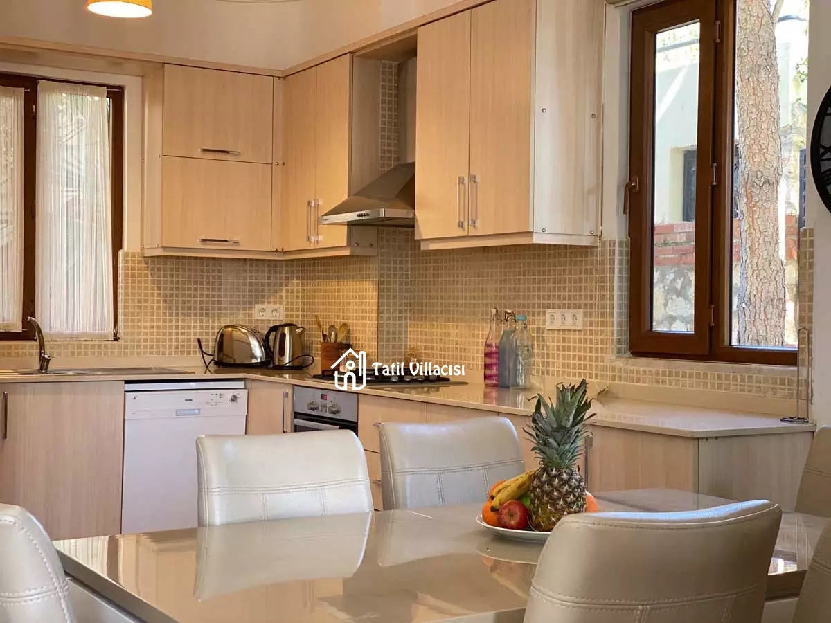 Villa Nisan